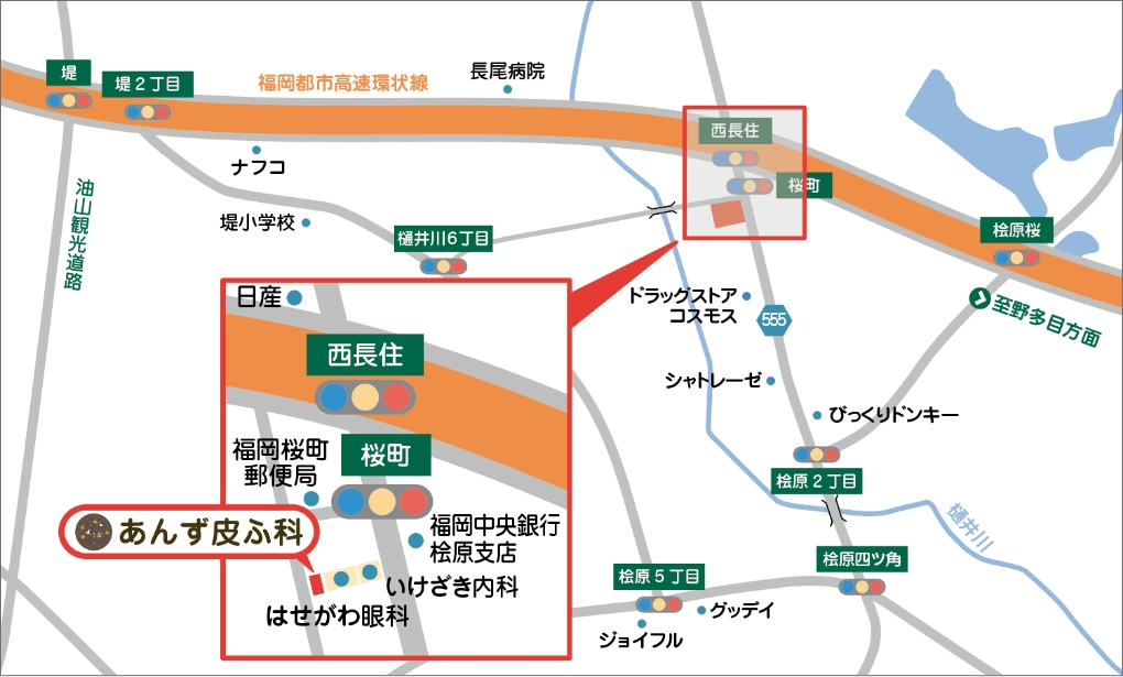 あんず皮ふ科